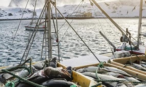 Credit - https://www.the-scientist.com/