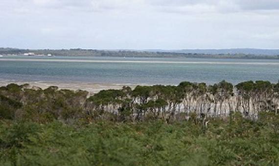 Western Port, Victoria looking west from French Island, March 2005. Credit - Takver (www.takver.com) CC BY-SA 3.0  