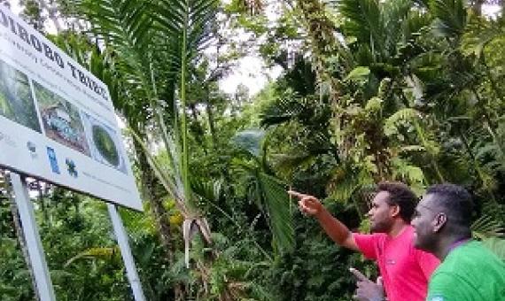 Credit- UNDP Solomon Islands