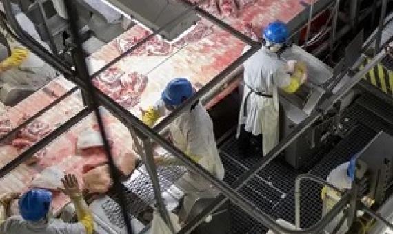 ‘Individually, we must stop eating animal products. Collectively, we must transform the global food system and work toward ending animal agriculture.’ Photograph: Daniel Acker/Bloomberg/Getty Images