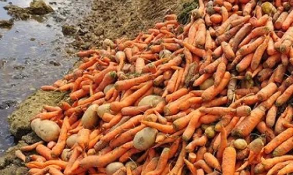 Food waste by consumers may be double then what we first thought. Source -https://www.newscientist.com/ nmews