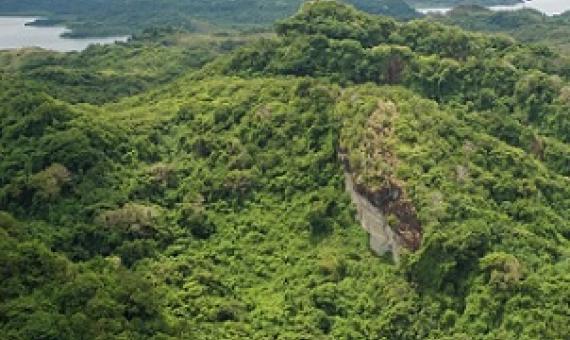 credit - https://islandtimes.org/