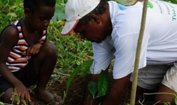 Vanuatu has been commemorating National Forestry and Tree Planting Week since 2016. Credit - MALFFB