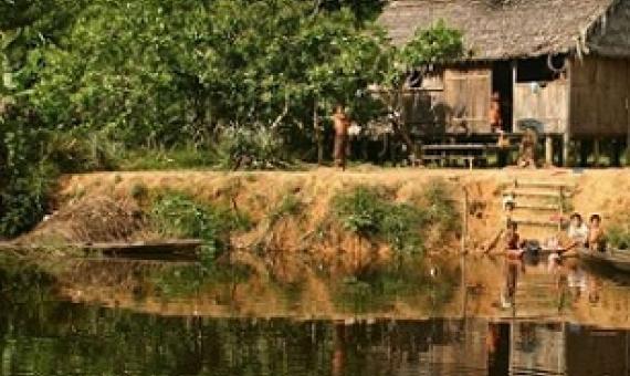 This photograph, taken in the Médio Juruá region of Amazonas State, Brazil. shows the houses of forest-proximate people living in sustainable development reserves in Amazonia. Credit: Peter Newton, University of Colorado Boulder
