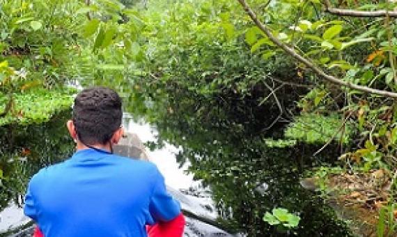 A boat passes through a riverine forest at the Bay of Cispata. Credit - HectorPertuz, Wikimedia Commons