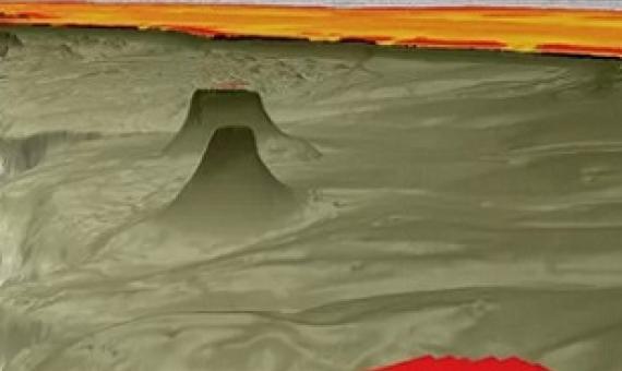 Mapping profile of the newly discovered reef. Credit - SCHMIDT OCEAN INSTITUTE