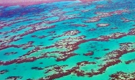 Great Barrier Reef, Australia. Credit - CC BY SA-3.0