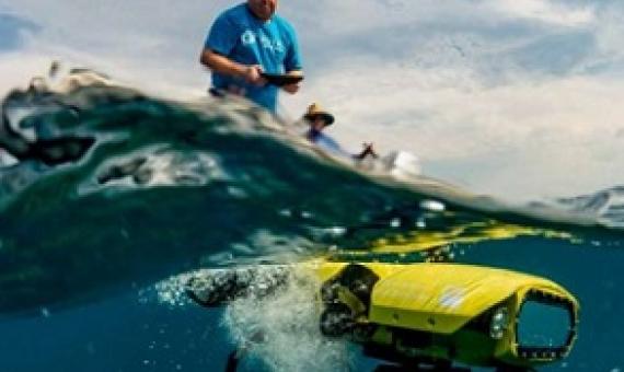 Scientists tackle starﬁsh plagues on Great Barrier Reef. Photo: Gary Cranitch/Queensland Museum/Great Barrier Reef Foundation