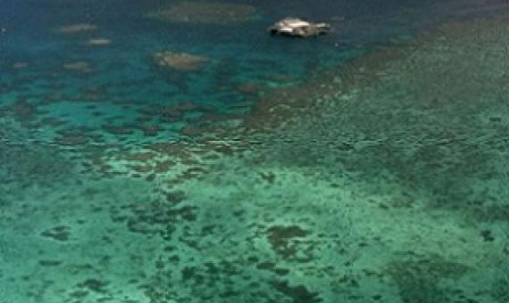 Agincourt Reef, located about 30 miles off the coast near the northern reaches of the Great Barrier Reef. Credit - AP Photo/Randy Bergman, File