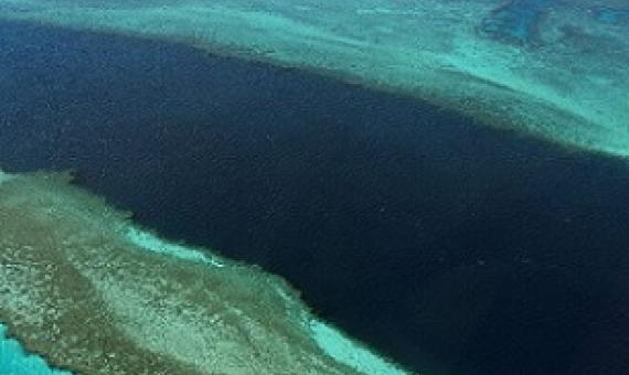 The Great Barrier Reef is the world's largest living structure. Credit - www.phys.org