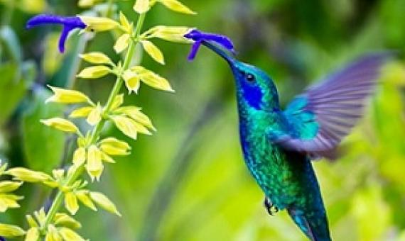 Photo credit: Glass and Nature/Shutterstock