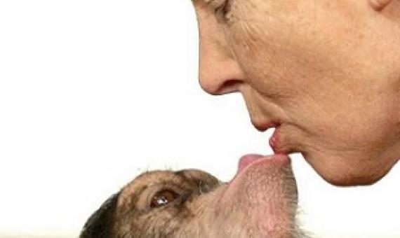 Goodall has championed sustainable pratices and the preservation of nature through grassroots organisations and iniatives in all corners of the planet. Credit - www.phys.org