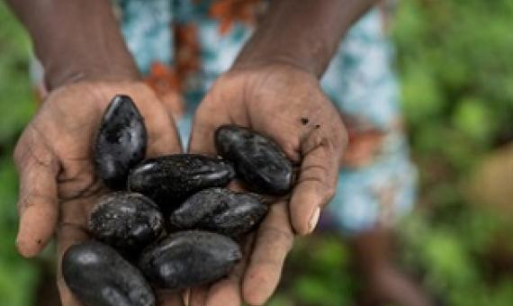 Credit - Conor Ashleigh.