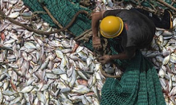 A fisherman on the Fu Yuang Yu 380, a Chinese fishing boat, in Guinean waters in 2017. Image © Pierre Gleizes / Greenpeace.