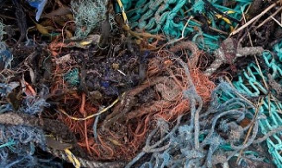 Credit - https://www.ghostgear.org/