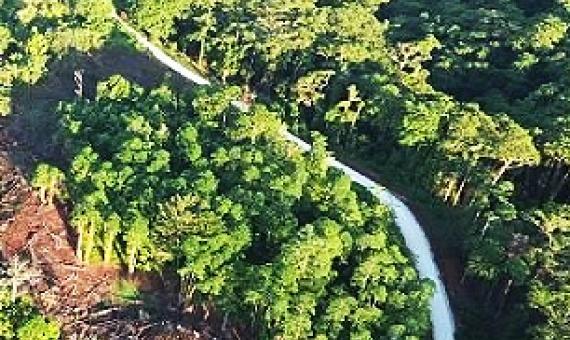 Credit - https://www.solomonstarnews.com/