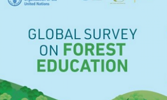 Global Survey on Forest Education. Credit - FAO