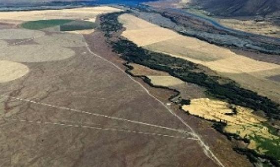 Cleared circles of land at Bendrose Farm, formerly a crown pastoral lease near Twizel, show the greening of the Mackenzie Basin in progress, Forest & Bird says. Photo - supplied