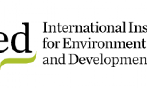 IIED logo