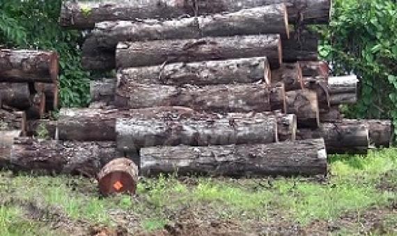 Credit - www.fbcnews.com.fj