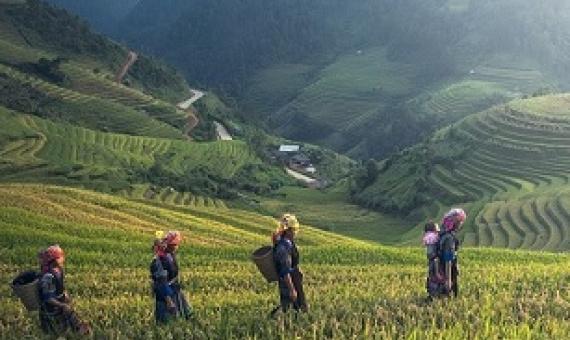 Credit: Pixabay/CC0 Public Domain