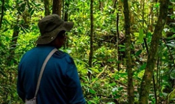 indigenous peoples. Credit - Mongabay.com