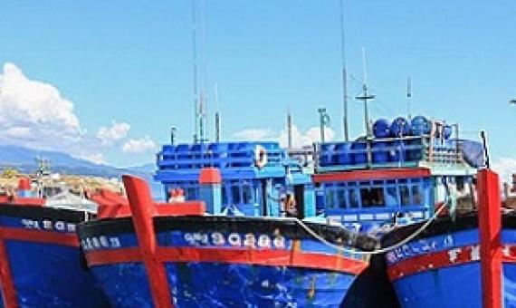 Three Vietnamese blue boats moored at a Solomon Islands wharf for illegal fishing, March 2017. Non-compliance with licence conditions is a greater source of IUU fishing than illegal fishing. Photo: Pacific Guardians.