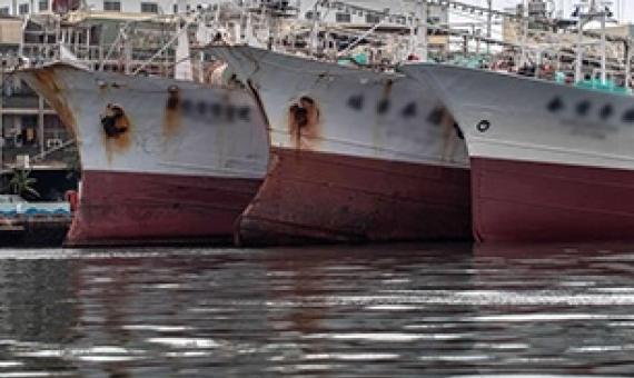 Report finds gaps in RFMOs’ measures targeting eradication of tuna IUU. Source -https://www.seafoodsource.com/  