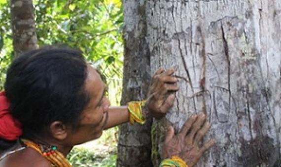 Photo - Vinolia Ahmad/Mongabay-Indonesia.