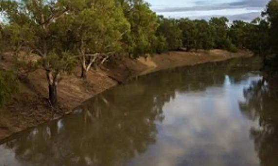 The Darling river in Louth, New South Wales. The amount of Australian water lost through theft is particularly relevant as governments grapple with the next stage of the Murray-Darling Basin plan. Photograph: Jenny Evans/Getty Images