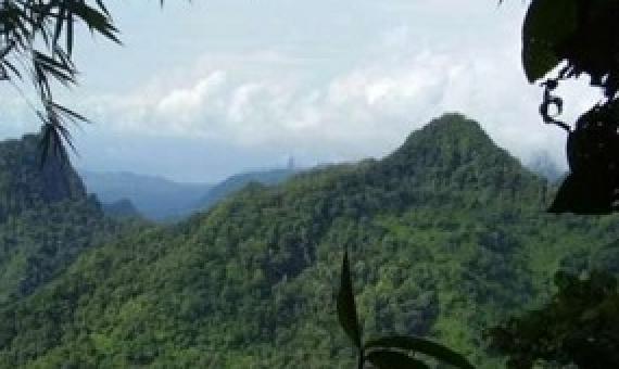 The island São Tomé, one of the Gulf of Guinea Islands that was part of the study. Credit: Ricardo de Lima