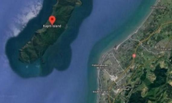 Kapiti Island, New Zealand. Credit - Google Maps