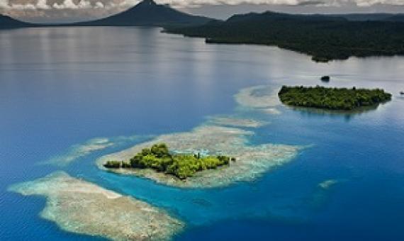 Photo - David-Doubilet