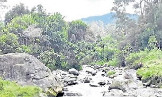 Conserving Nokondi land. Credit - Shirley Komogi