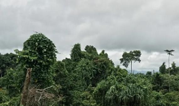 Photograph: Riccardo Testolin/Getty Images