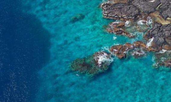 Reefs off the Captain James Book Monument in Kealakekua Bay, Hawaii. Credit - Rhett A. Butler
