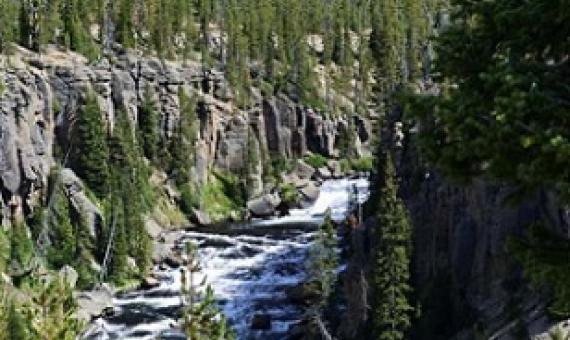 Credit: Unsplash/CC0 Public Domain