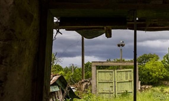 Wildlife seen through ruins. Credit: Malkolm Boothroyd