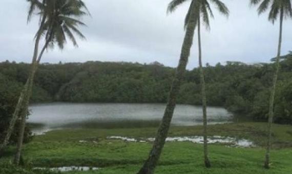 Lake Te Roto on Atiu where evidence was found of the arrival of early humans. Credit: University of Southampton