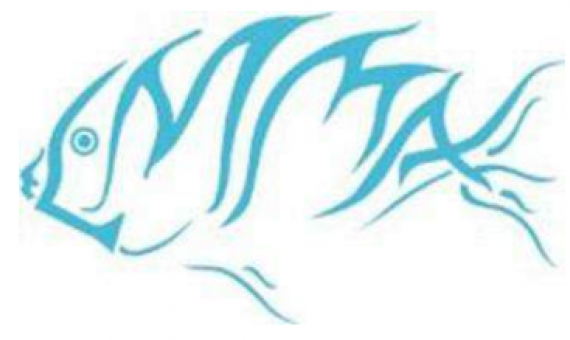 LMMA logo. Credit - LMMA network