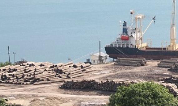 Export of round logs is the main economic activity in PNG's West Sepik province, but the profits largely go abroad. Photo: RNZI / Johnny Blades