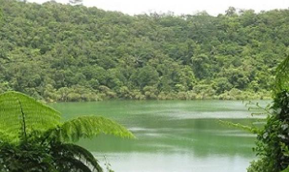 Lake Lanotoo National Park, Samoa. Credit - V. Jungblut