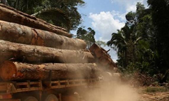 A truck is seen loaded with logs cut from the Bom Retiro deforestation area on the right side of the BR 319 highway near Humaita, Amazonas state, Brazil September 20, 2019. Picture taken September 20, 2019. REUTERS/Bruno Kelly