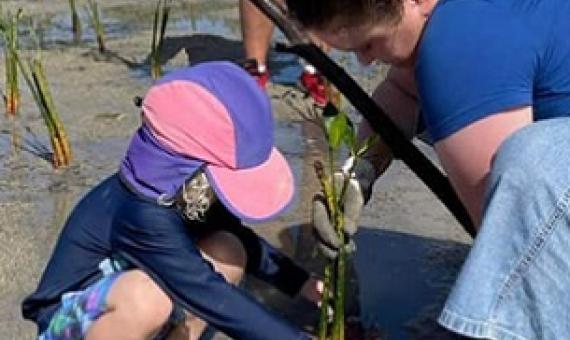 A child helps volunteers and other counter parts plant mangroves at Sopu, Nuku'alofa, Tonga. 12 August 2023. Photo: Australia in Tonga.
