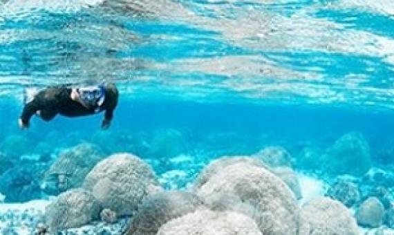 NPS diver officer Bert fuiava snorkels in the shall Ofu pools. This lagoon provides scientists with a living laboratory to study the impacts of rising sea temperatures on corals. Credit - Changing seas