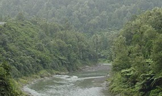 Waioeka Gorge in the Ruatāhunas. Photo by Peter Richardson.