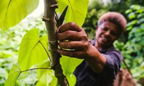 Photograph: Katie Edwards/The Guardian