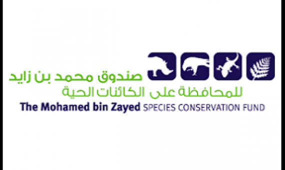 Mohamed bin Zayed Species Conservation Fund logo. Credit - speciesconservation.org