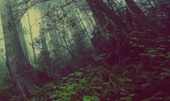 Credit: CC0 Public Domain