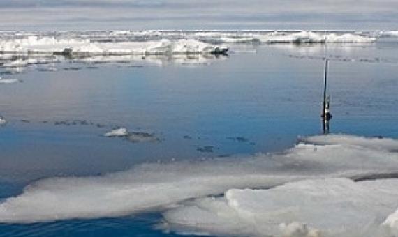 A NEMO float, which is part of the Argo program, sits atop the waters of the Arctic Ocean after being deployed from the German icebreaker Polarstern. Credit - ARGO PROGRAM